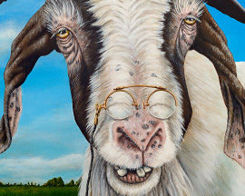 how to photography artwork