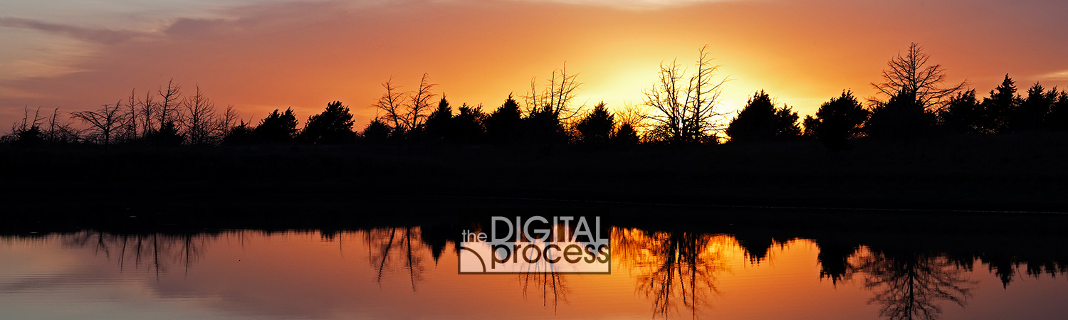 Free Photography Lessons for Beginners Free Photography Lessons for Beginners