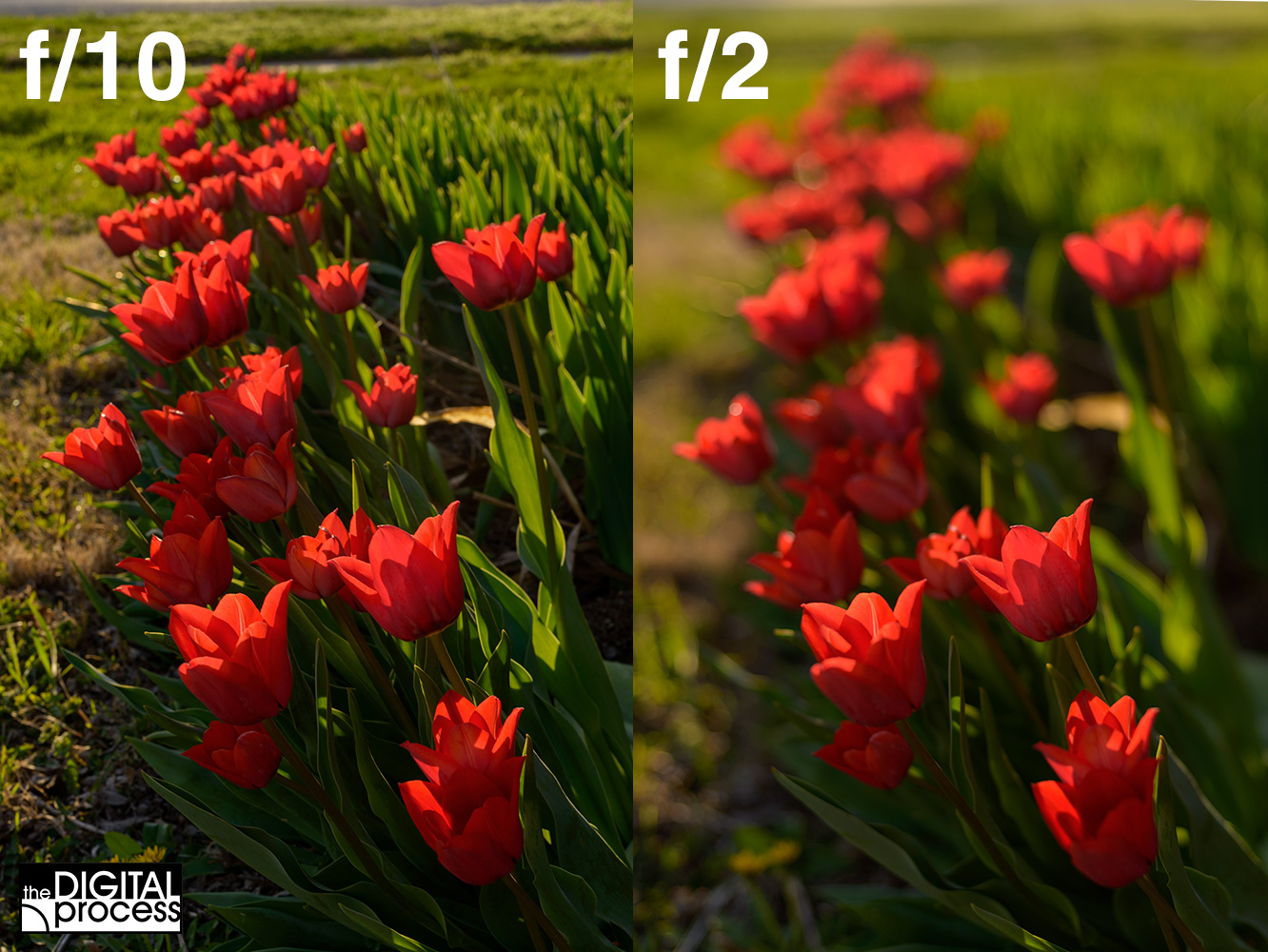 how-aperture-affects-your-photos