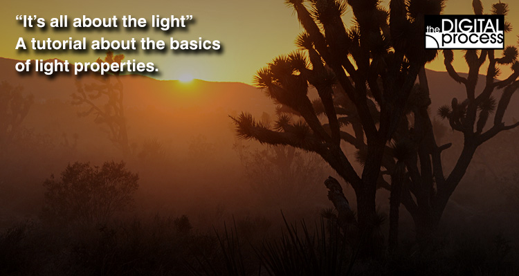 Photography and Light