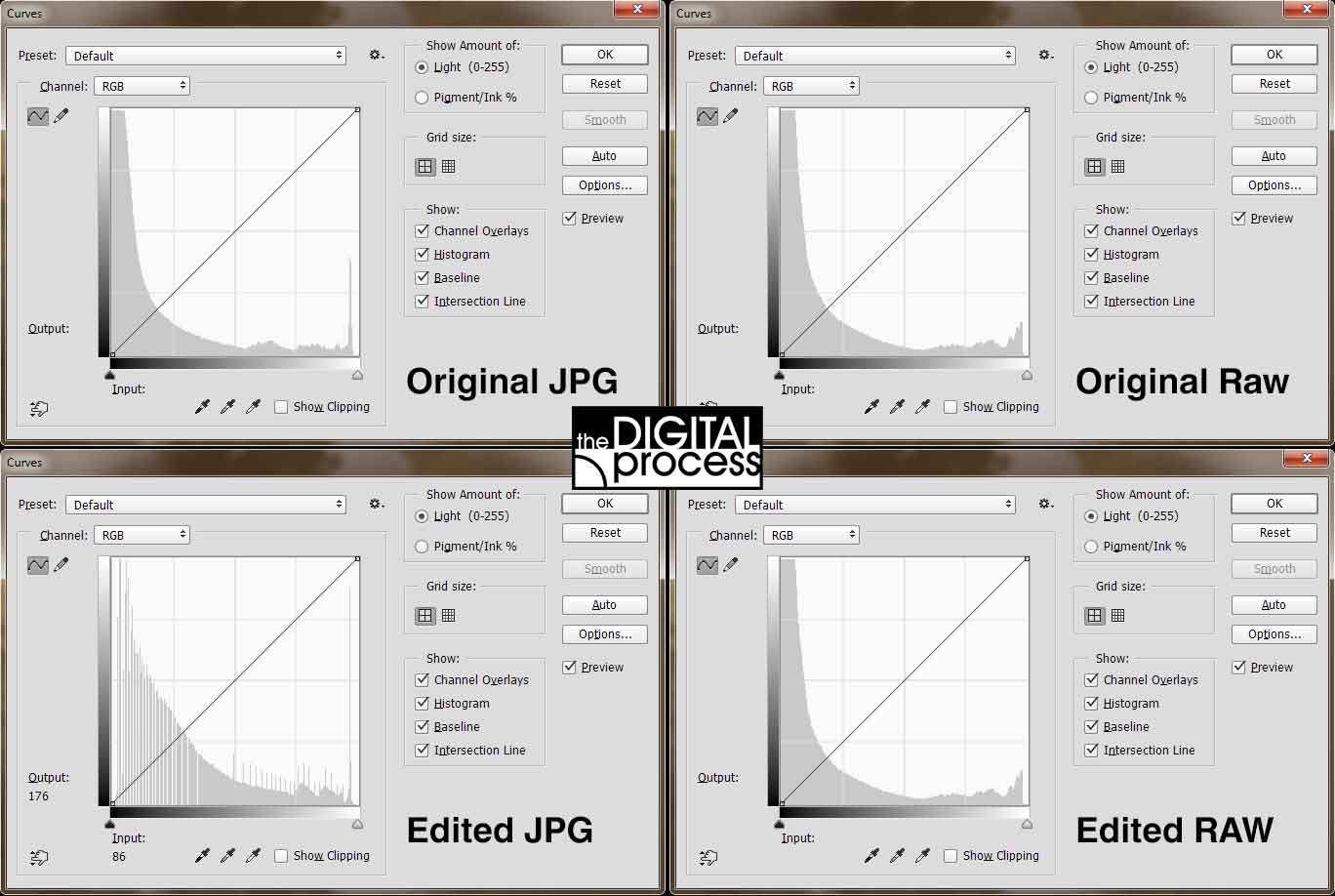 raw-vs-jpg-comparision-of-histograms | the DIGITAL process