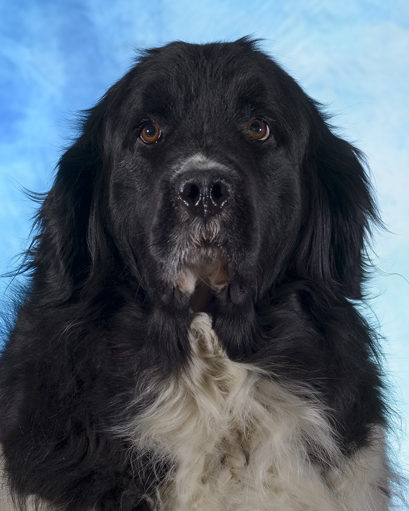 sadie-NOT-sRGB