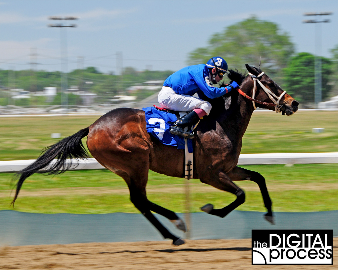 shutter-speed-priority-example