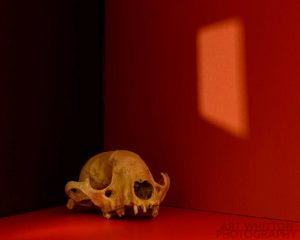 Photography Projects - Build a Box