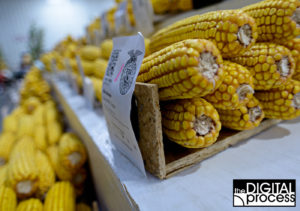 chosing modes in photography Aperture Priority Mode