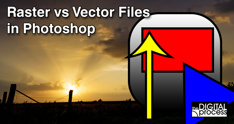 raster vs vector files