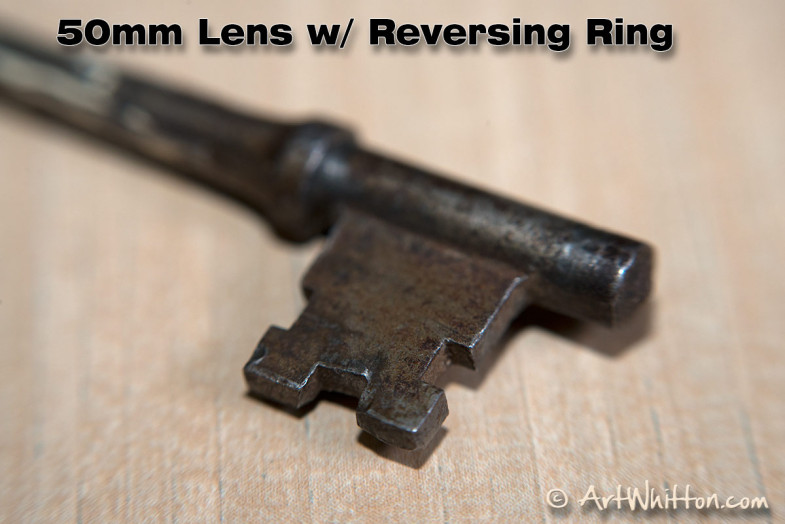 50mm lens with reversing ring - macro photography