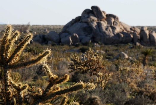 Photo Composition - sample 24 - Foreground Objects Photo Composition - sample 24 - Foreground Objects