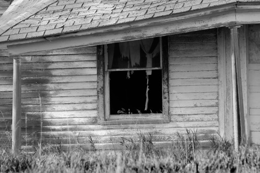 Photo Composition - sample 35 - Framing Photo Composition - sample 35 - Framing