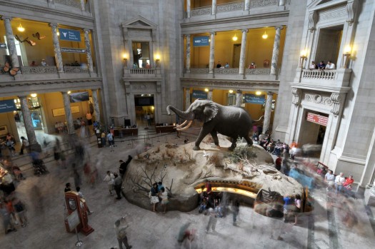 Photo Composition - sample 31 - Point of View Photo Composition - sample 31 - Point of View