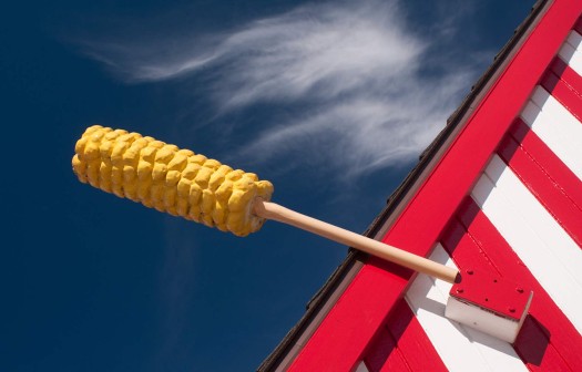 Photo Composition - sample 32 - Point of View Photo Composition - sample 32 - Point of View